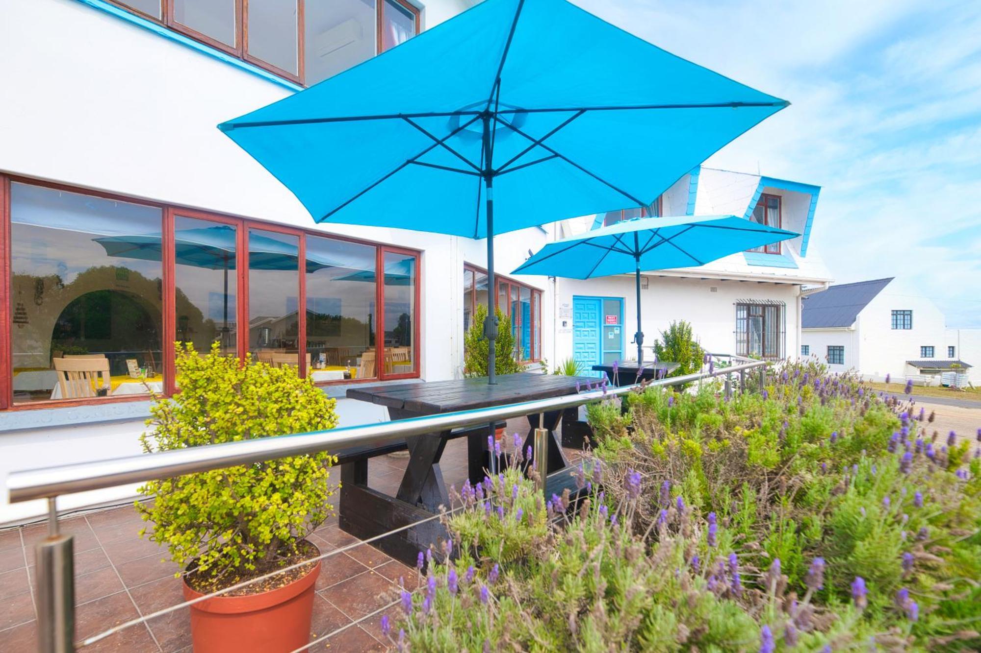 Mermaid Guest House Struisbaai Ngoại thất bức ảnh