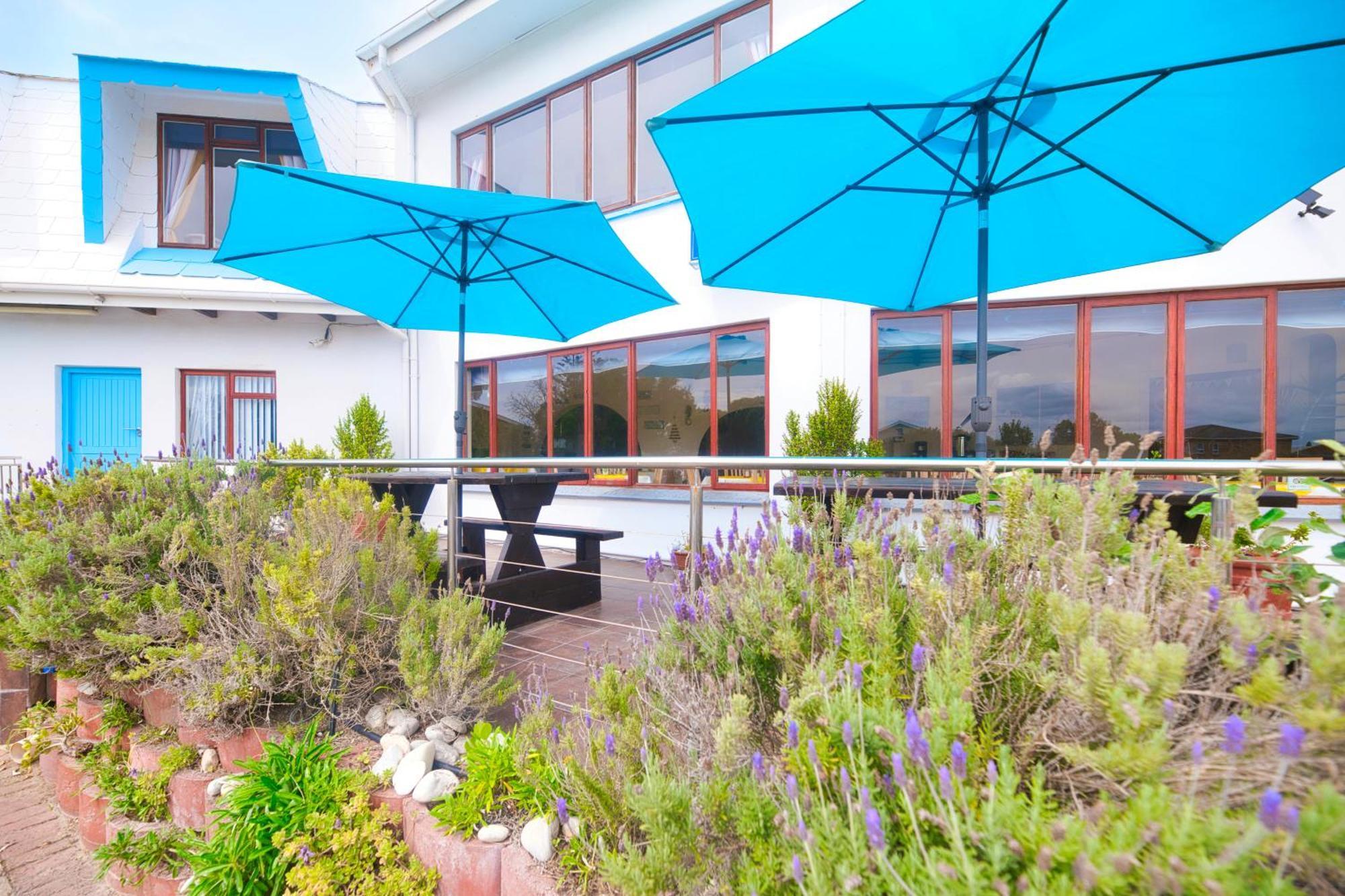 Mermaid Guest House Struisbaai Ngoại thất bức ảnh